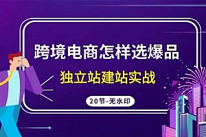 跨境电商怎样选爆品,独立站建站实战(20节高清无水印课)