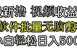 发视频撸收益,软件无脑批量剪辑,第一天发第二天就有钱