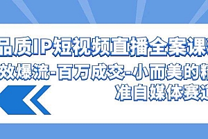 高品质 IP短视频直播-全案课程,有效爆流-百万成交-小而美的精准自媒体赛道