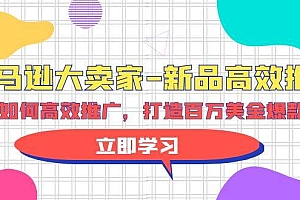 亚马逊 大卖家-新品高效推广,分享如何高效推广,打造百万美金爆款单品