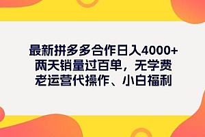 最新拼多多项目日入4000+两天销量过百单,无学费、老运营代操作、小白福利