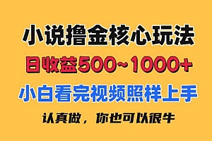 小说撸金核心玩法,日收益500-1000+,小白看完照样上手,0成本有手就行