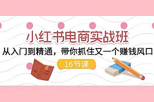 小红书电商实战班,从入门到精通,带你抓住又一个赚钱风口(16节)