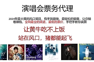 演唱会2024票务代理,全网最低的票价,手把手教你卖票,日入2000+