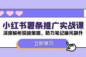 小红书-薯 条 推 广 实战课:深度解析投放策略,助力笔记曝光飙升