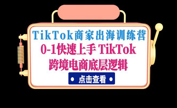 《TikTok商家出海训练营》0-1快速上手 TikTok跨境电商底层逻辑
